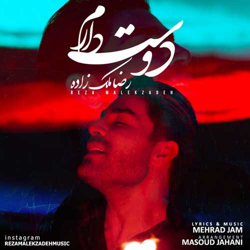 رضا ملک زاده  دوست دارم